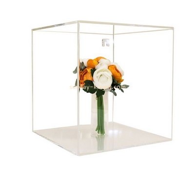 Customized clear acrylic display case DBK-305